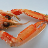 langoustine surgelée