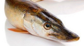 photo du produit:Brochet 2/4 K