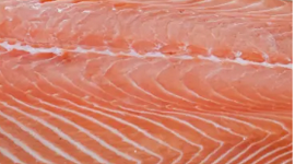photo du produit:Poelée De Saumon X3