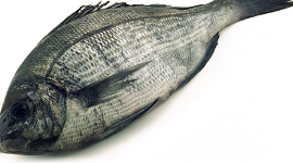 photo du produit:Dorade Grise 5/800 X3