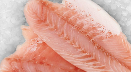 photo du produit:F Perche Du Nil X3