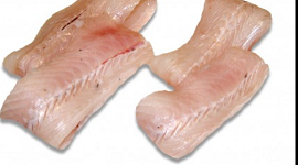 photo du produit:F Sabre X4